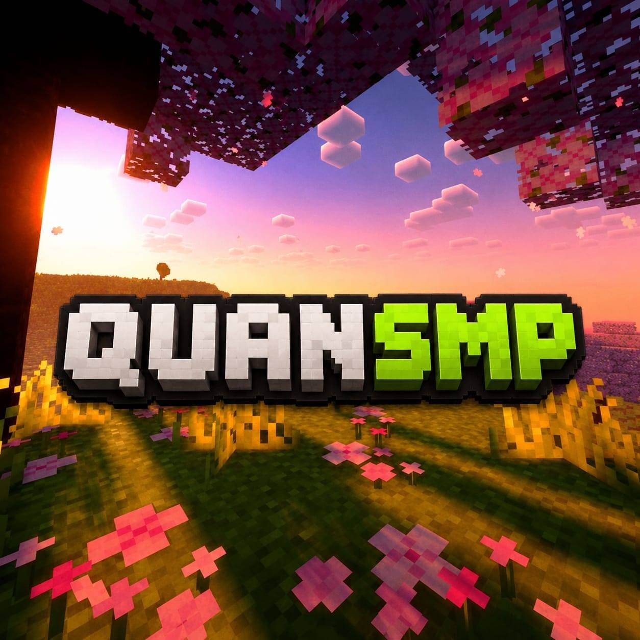 QuanSMP